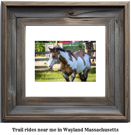 trail rides near me in Wayland, Massachusetts